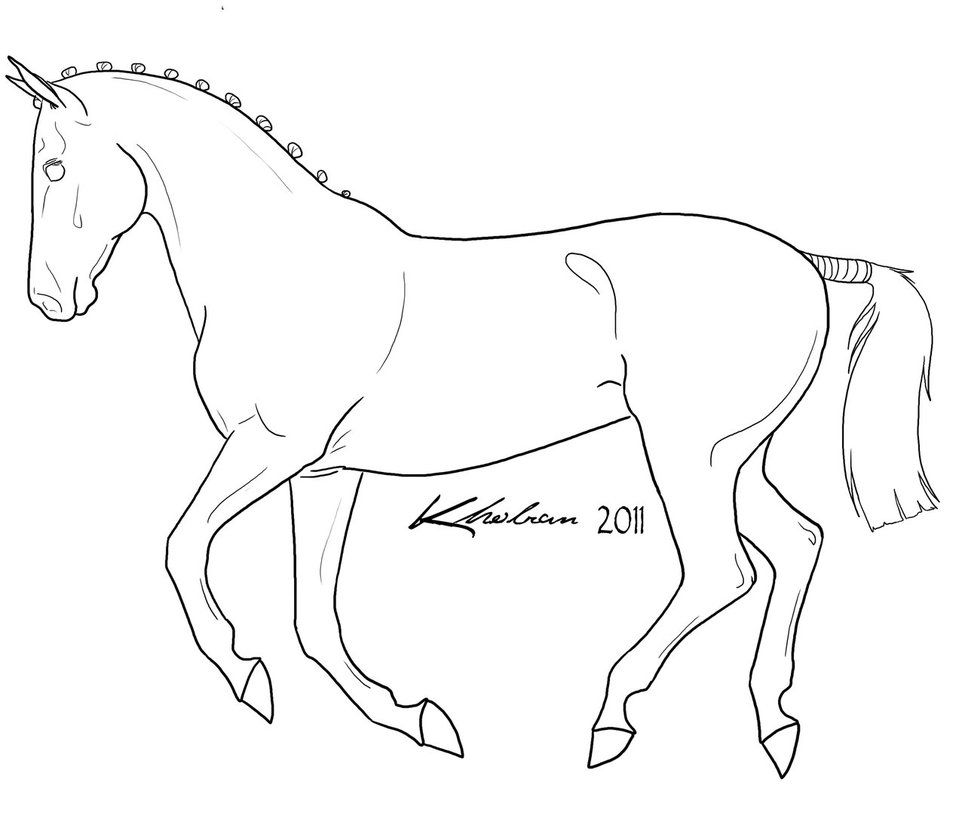 965x828 Canter Lineart By Kholran Color Horses, Donkeys, Mules,