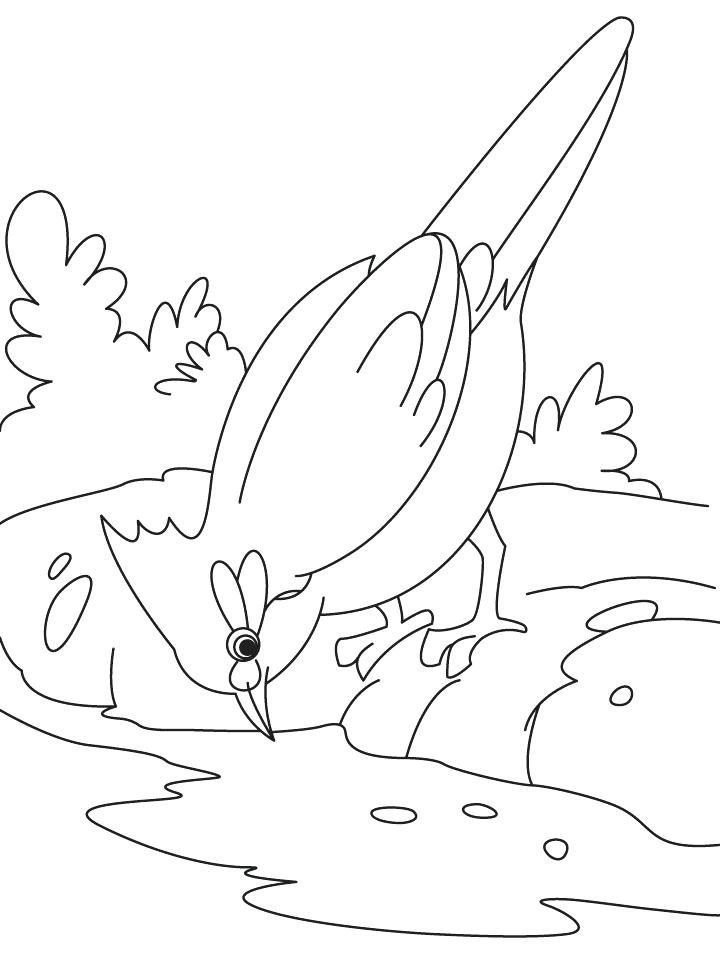 720x954 Water Coloring Pages Water Cycle Coloring Page Water Coloring