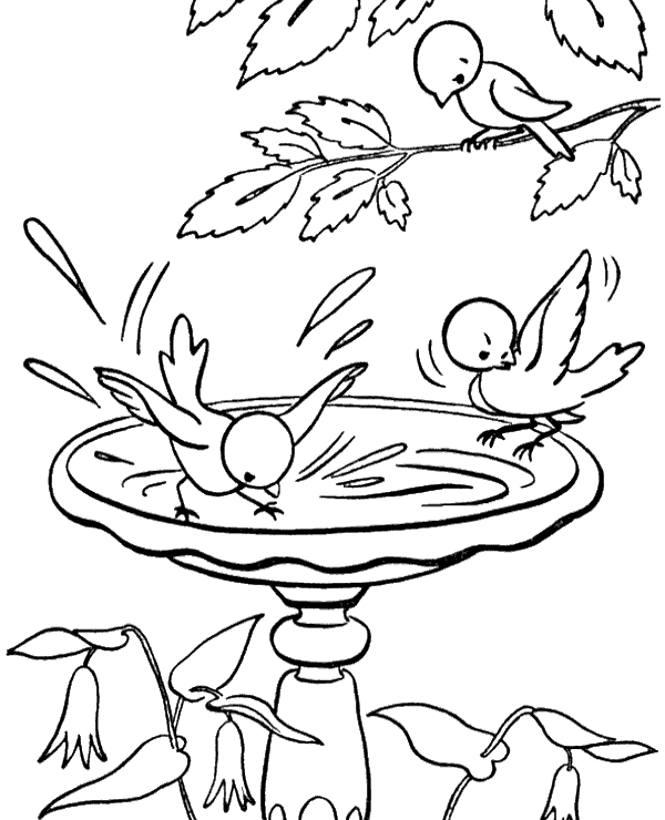 600x740 Birds Drinking Water Coloring Sheets To Print Or Download For Free