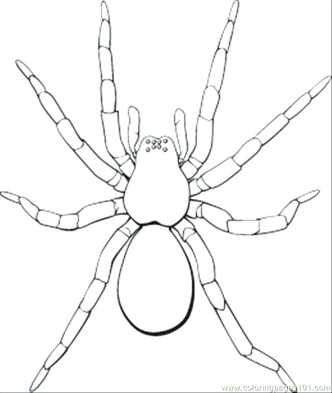 650x770 Drone Bee Coloring Pages Kids Coloring Pages Drone Drone Bee