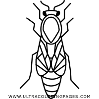 200x200 Drone Coloring Page
