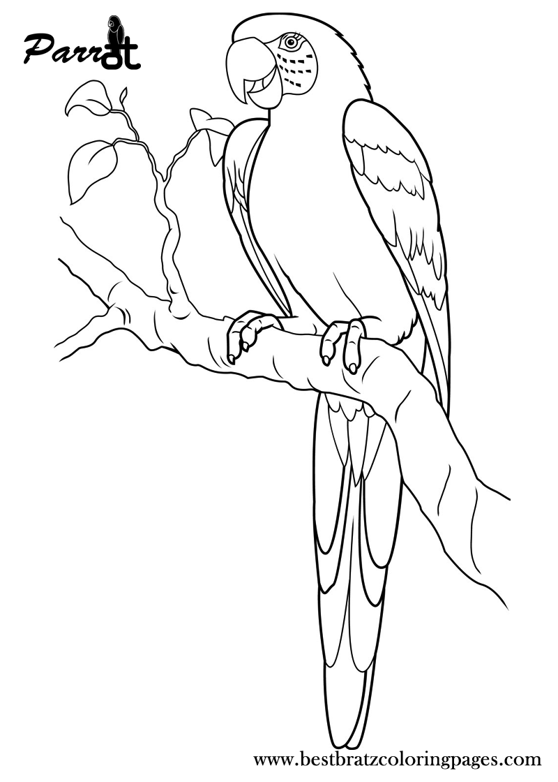 800x1120 Free Printable Parrot Coloring Pages For Kids Coloring Pages