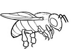 236x164 Bee Coloring Pages 09 Bee Embroidery Patterns Bees