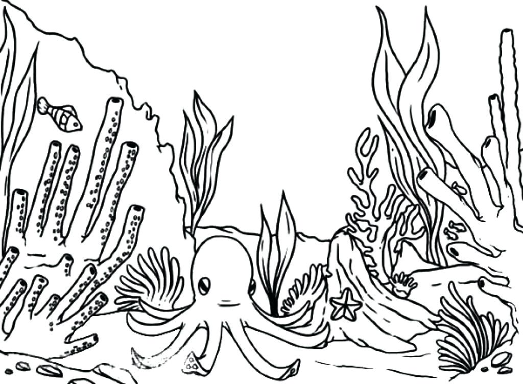 1024x752 Swordfish Coloring Page Swordfish Coloring Page Cartoon Of A Black