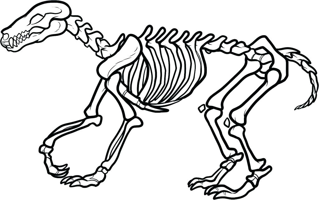 1024x642 Skull And Crossbones Coloring Pages Bone Coloring Page Dog Bones