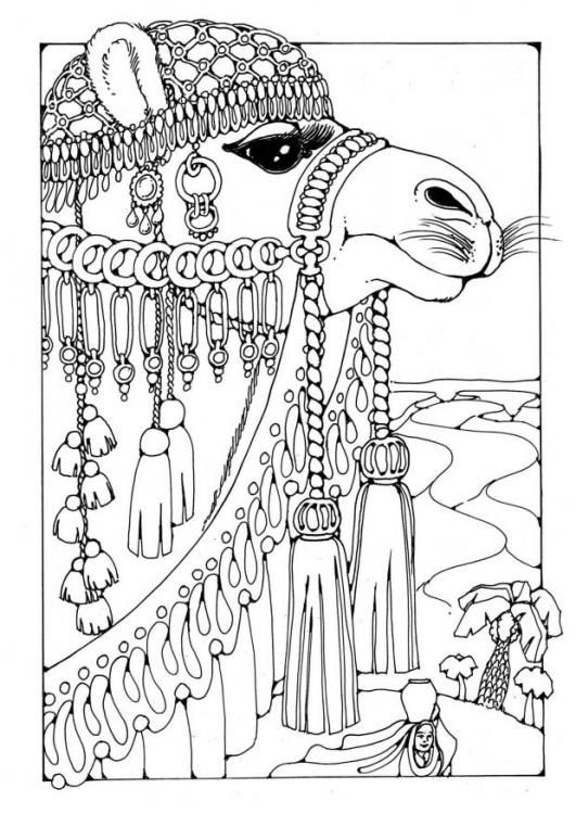 531x750 Coloring For Adults