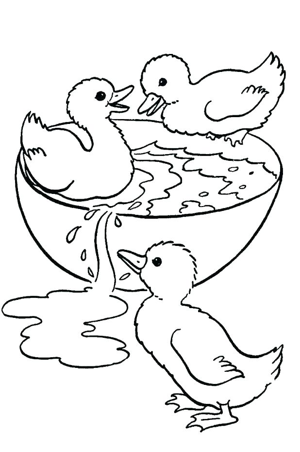 618x930 Duck Coloring Pages Duck Coloring Pages Coloring Page Of A Duck
