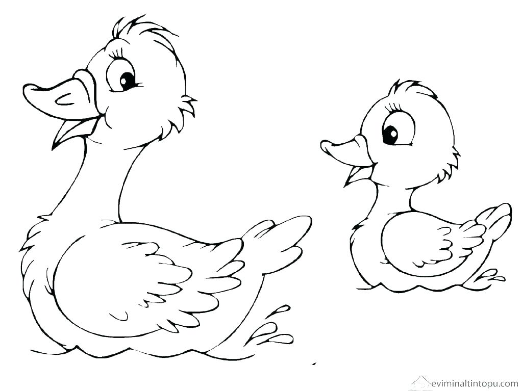 1023x767 Ducks Coloring Pages Ducks Coloring Pages Ducks Coloring Pages