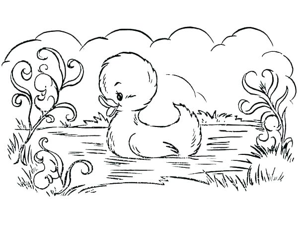 600x490 Coloring Pages Duck Daffy Duck Coloring Pages To Print