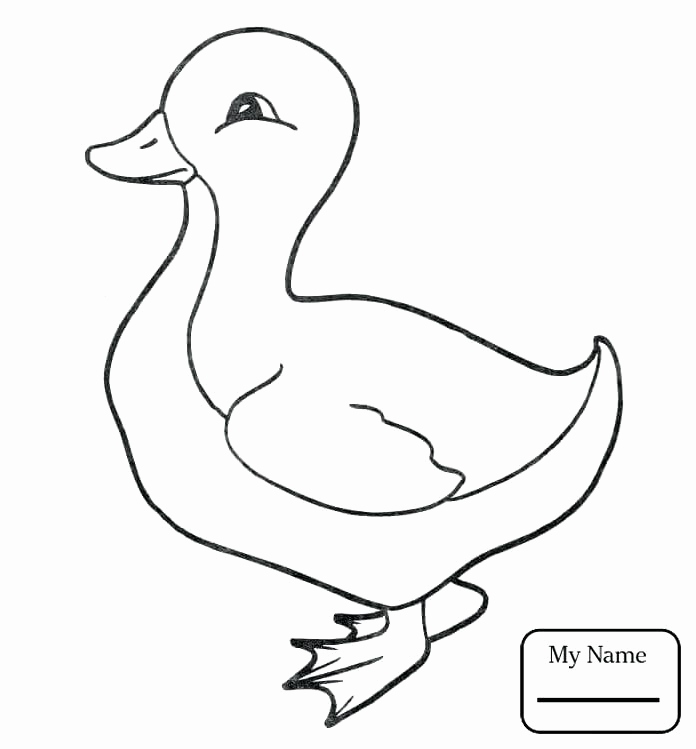 Duck Coloring Pages For Kids