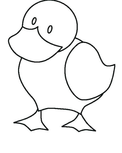 473x592 Ducks Coloring Pages