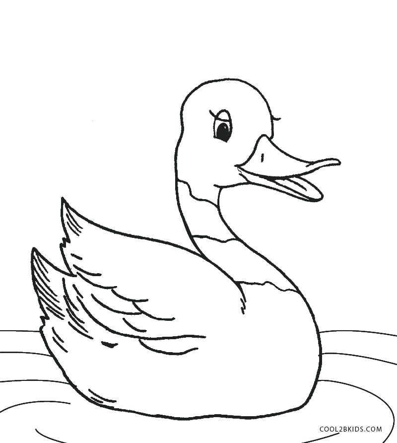 800x892 Printable Duck Coloring Pages For Kids Duck Coloring Pages