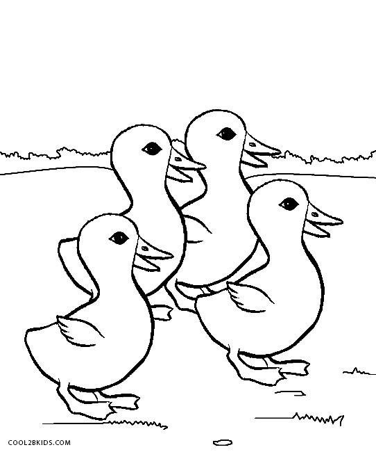 542x650 Printable Duck Coloring Pages For Kids Prepossessing Wagashiya