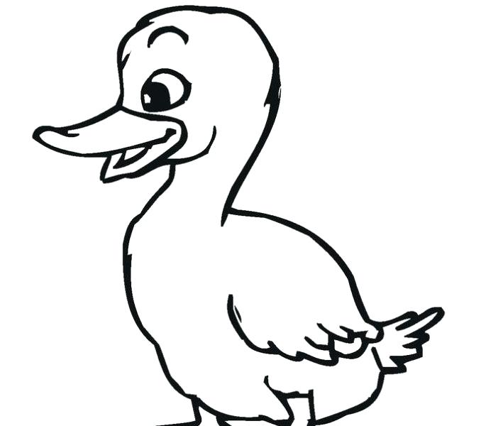 678x600 Printable Duck Mask Template Duck Color Pages Printable Duck