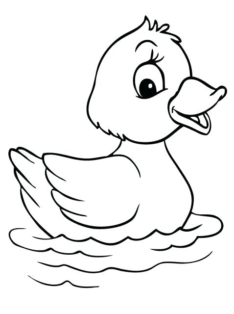 478x640 Rubber Duck Colouring Simple Free Printable Coloring Pages