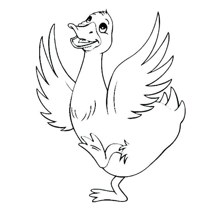 720x699 Duck Dynasty Colouring Pages Printable Coloring Duck Hunting