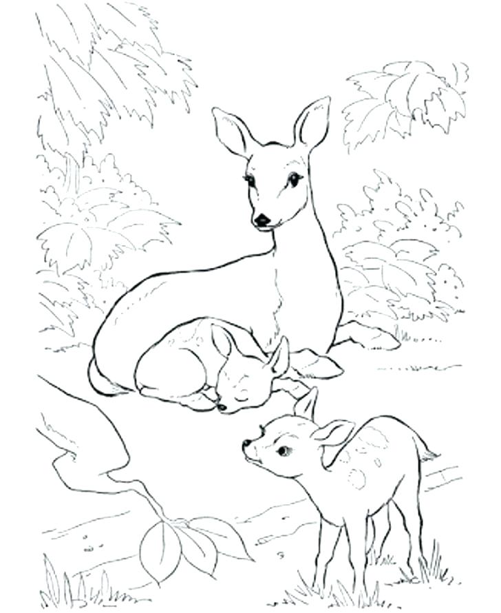 728x890 Coloring Duck Hunting Coloring Pages Hunter. Duck Hunting