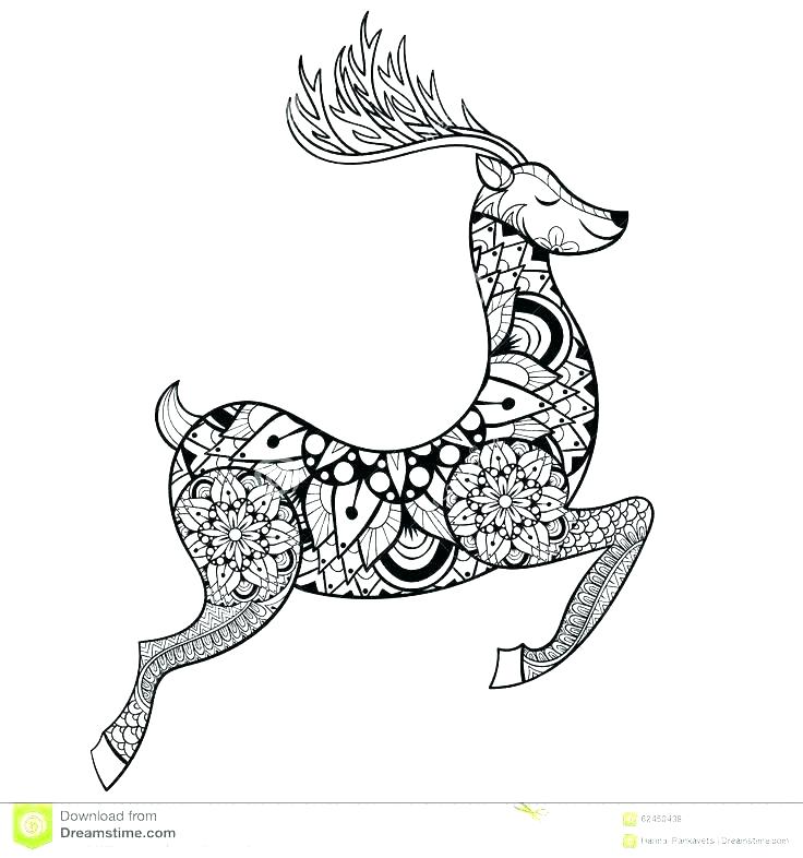 736x786 Deer Hunting Coloring Pages Duck Hunting Coloring Pages Hunter
