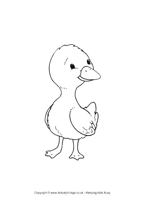 460x650 Daffy Duck Coloring Pages Pencil Draw Image Cartoons Daffy Duck