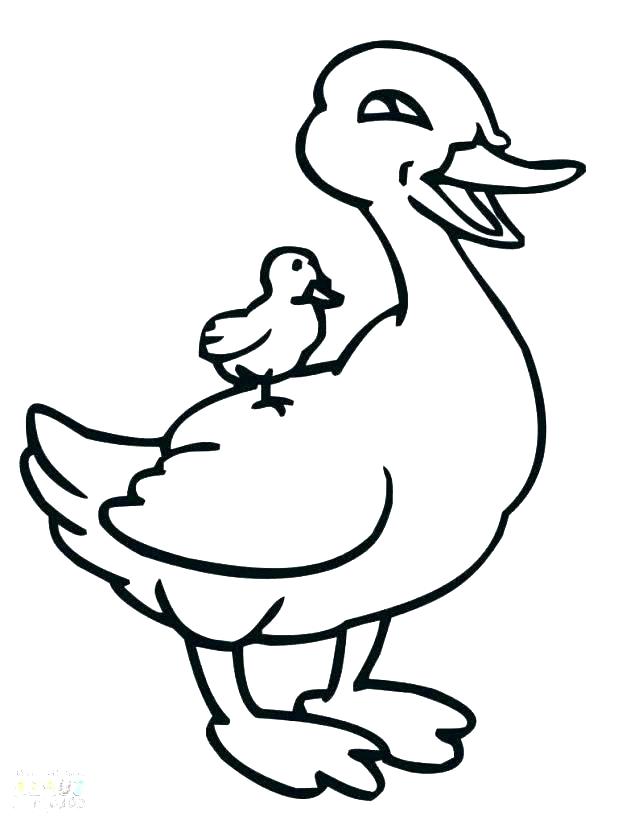 618x824 Duck Color Page Duckling Coloring Pages S Baby Ducks Coloring