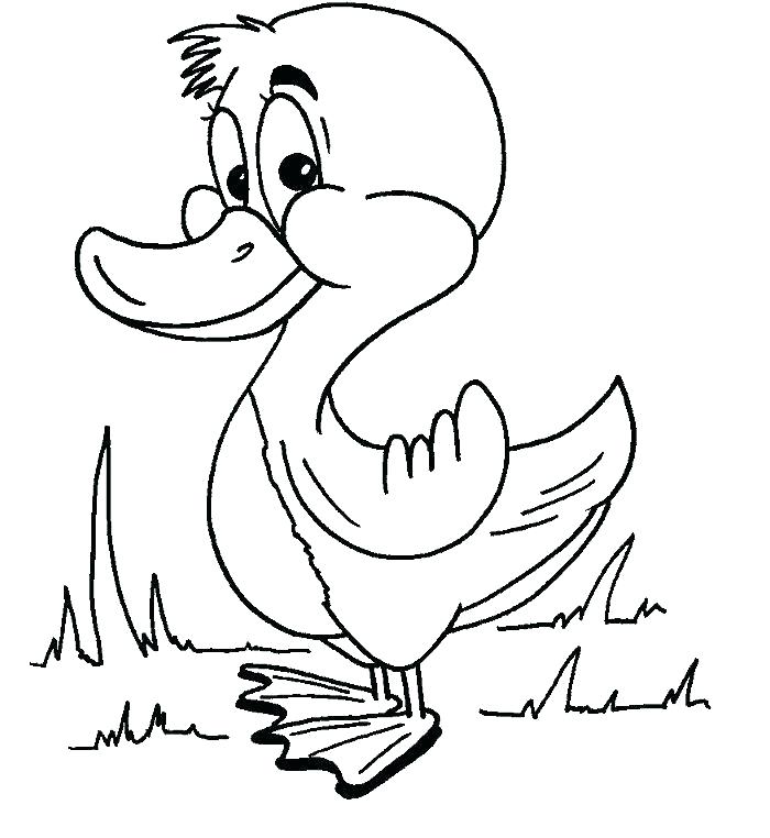 700x762 Baby Donald Duck Coloring Pages Duck Coloring Pages Baby Duck