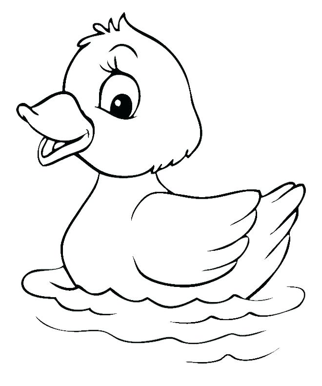 660x791 Duckling Coloring Page Duck Color Page Simple Drawing Of A Duck