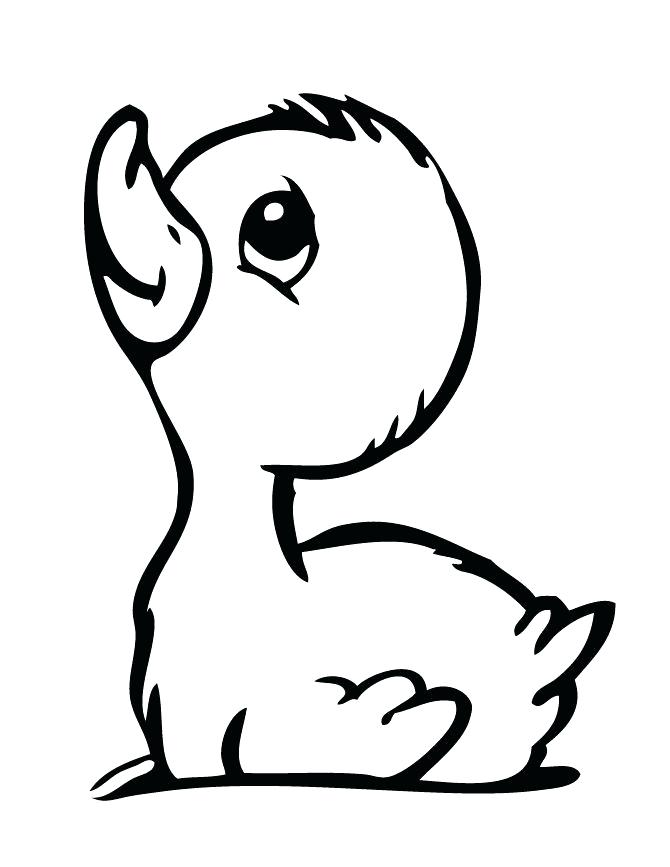 670x867 Duckling Coloring Page Duckling Coloring Page Duckling Coloring