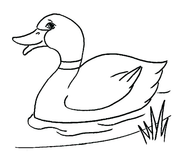600x551 Duckling Coloring Pages Duckling Coloring Page Coloring Pages