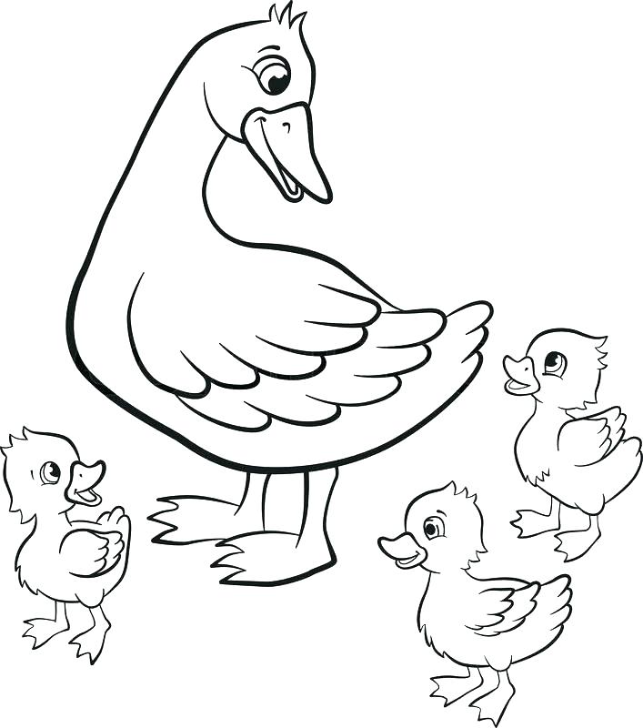 707x800 Baby Duck Coloring Pages Duckling Coloring Page Pages Kind Duck