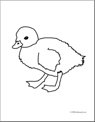 304x392 Clip Art Duckling (Coloring Page) I Abcteach