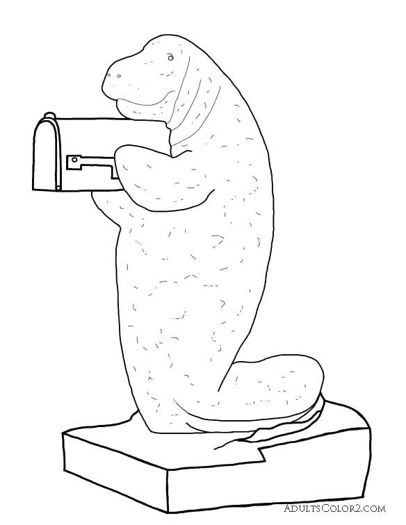 584x756 Dugong Animal Coloring Pages Manatee Coloring Pages Manatee