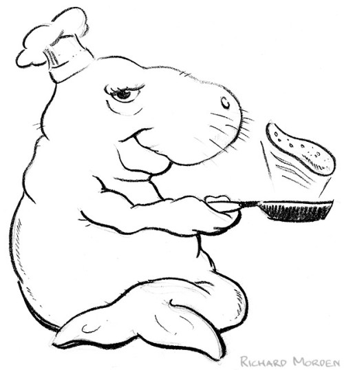 500x537 23 Dugong Coloring Page Animalcoloring.co