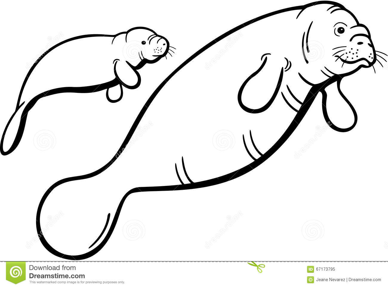 1300x965 Image Gallery Manatee Outline Luxury Dugong Coloring Page