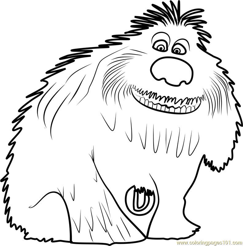 791x800 Duke Coloring Page
