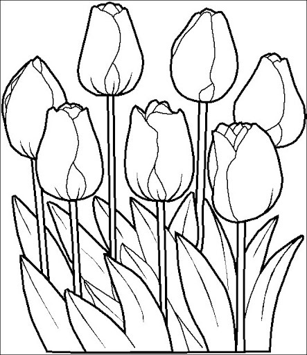 Dutch Coloring Pages