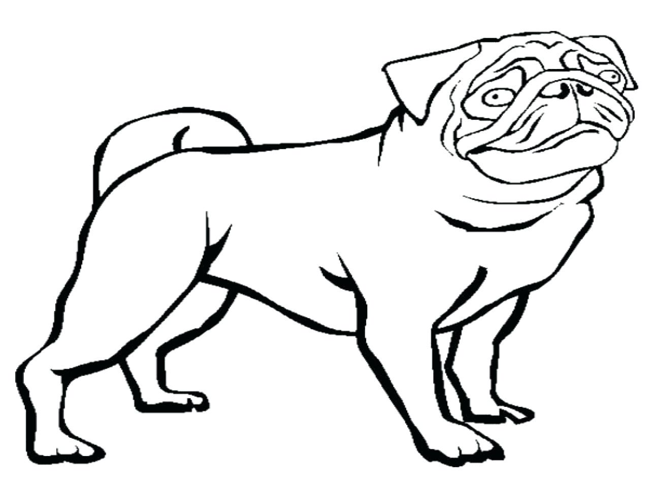 1280x960 Dutch Coloring Bulldog Pug Page Color Chihuahua Dog Family Pages
