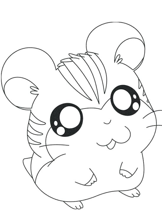 Dwarf Hamster Coloring Pages