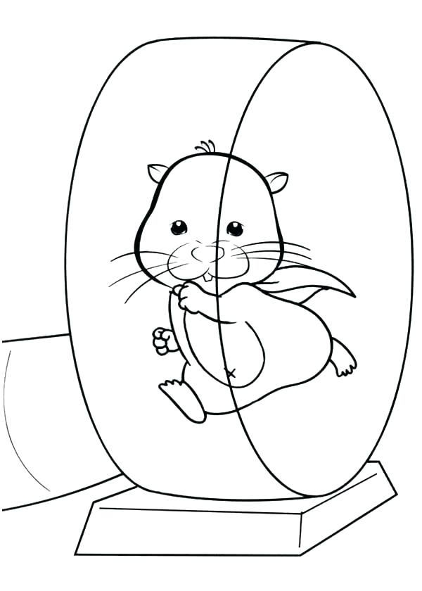 600x840 Hamster Coloring Page Dwarf Hamster Coloring Page Dwarf Hamster