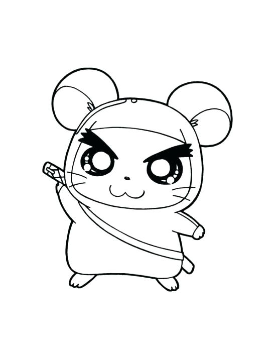 550x717 Hamster Coloring Pages Cute Hamster Coloring Pages Hamster Hamster
