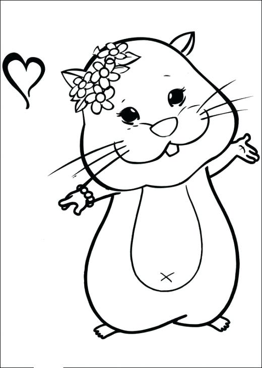 520x728 Hamster Coloring Pages Free Hamster Coloring Page Hamster Coloring