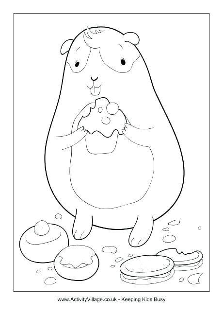 460x650 Hamster Coloring Pages Hamster Coloring Page Cute Hamster Coloring