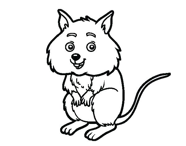 600x470 Hamster Coloring Pages Hamster Coloring Pages For Kids Cute