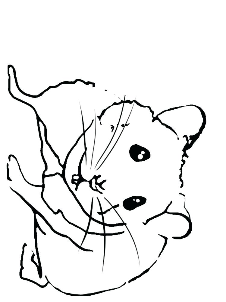750x1000 Hamster Coloring Pages Hamster Coloring Pages To Print A Dwarf