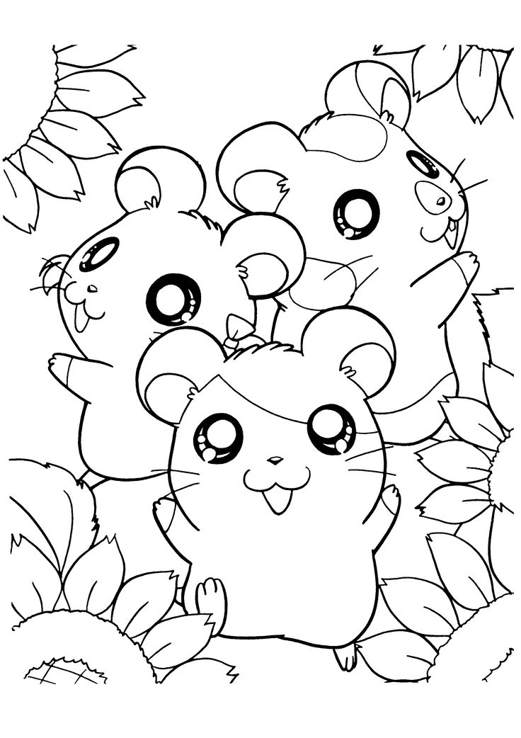 736x1042 Drawn Hamster Colouring Page