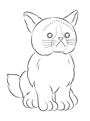 358x480 Grumpy Cat Coloring Pages Dynamite Reveals Grumpy Cat Pictures
