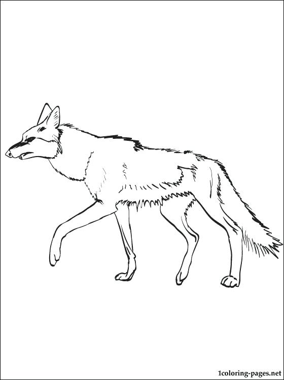 560x750 Coyote Coloring Pages Coyote Coloring Page For Free Wylie Coyote