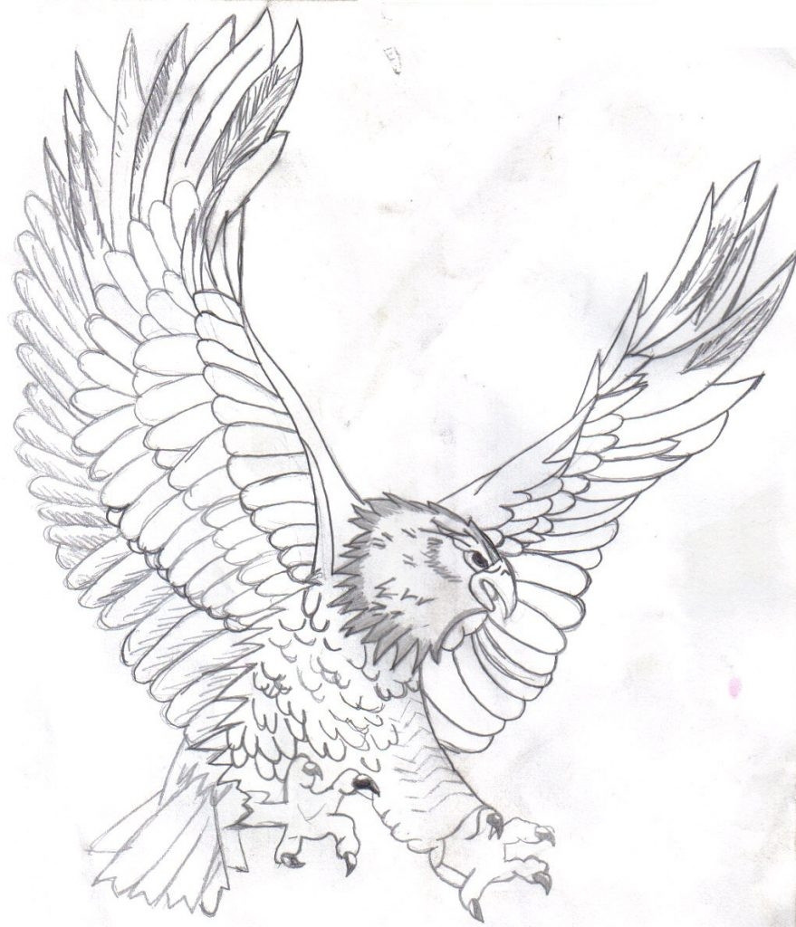 879x1024 27 Bald Eagle Coloring Page Compilation Free Coloring Pages Bright