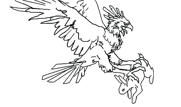 600x356 Eagles Coloring Pages Eagle Coloring Page Philadelphia Eagles
