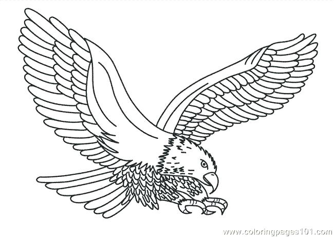 650x461 Philadelphia Eagles Coloring Pages Printable Eagle Best Images