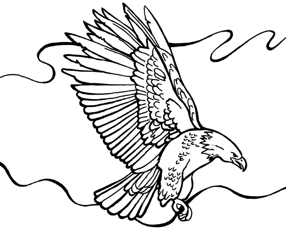 576x468 Eagle Printable Coloring Pages Bald Eagle Coloring Page Free